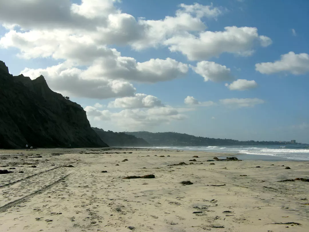 Blacks-Beach-View-South-La-Jolla